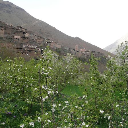 Gîte Atlas Mazik Imlil  Dış mekan fotoğraf