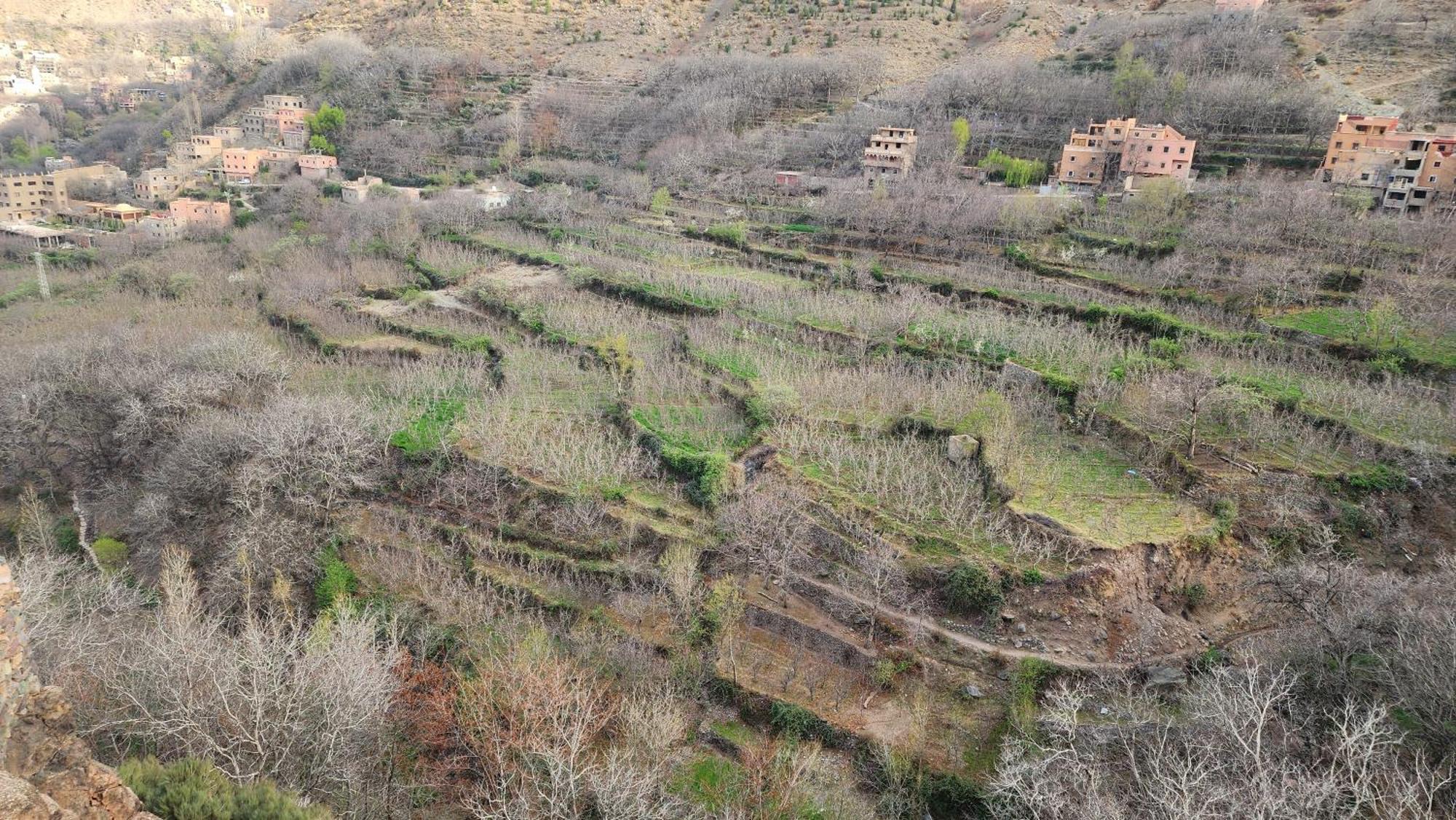 Gîte Atlas Mazik Imlil  Oda fotoğraf