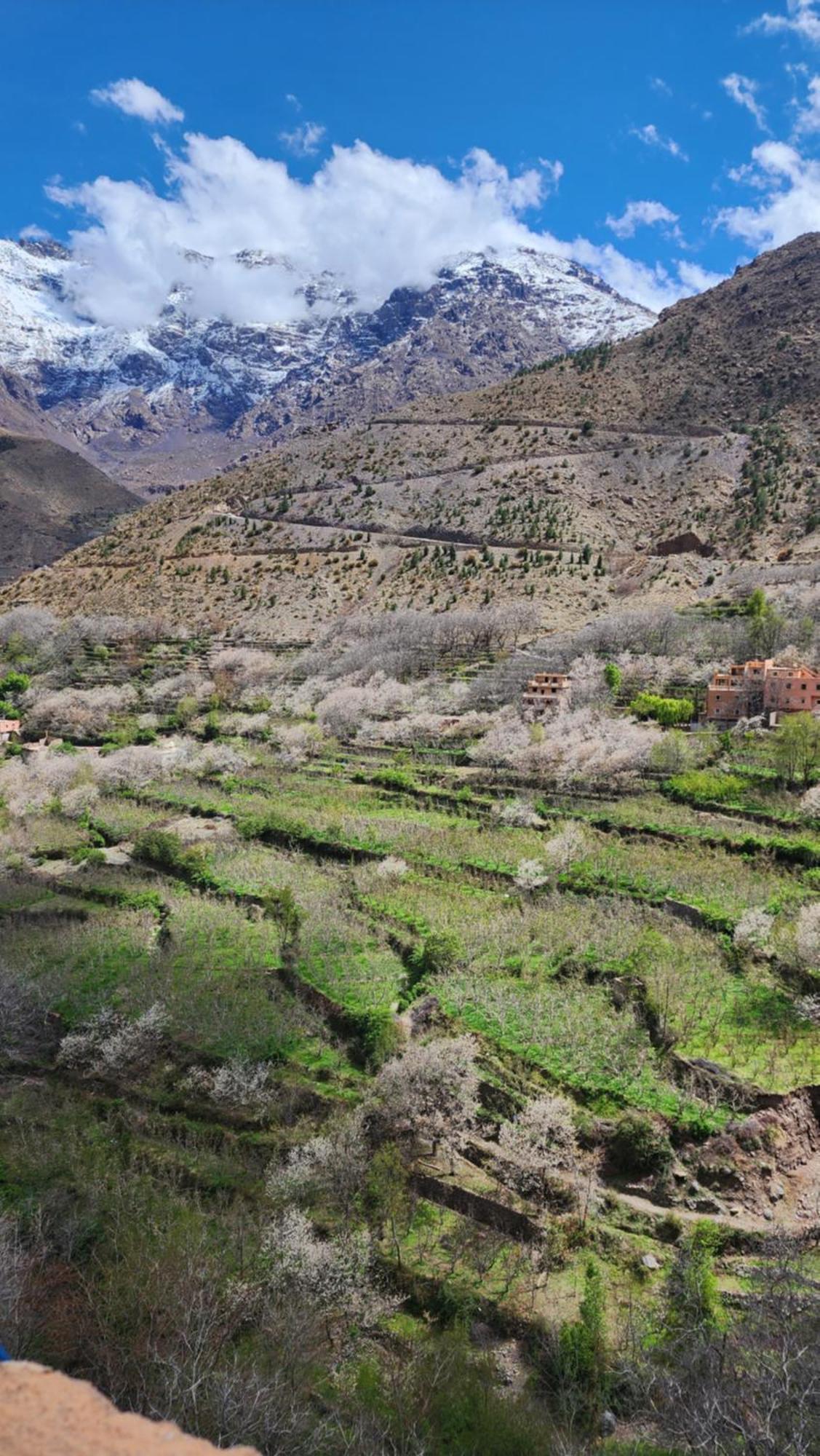 Gîte Atlas Mazik Imlil  Dış mekan fotoğraf