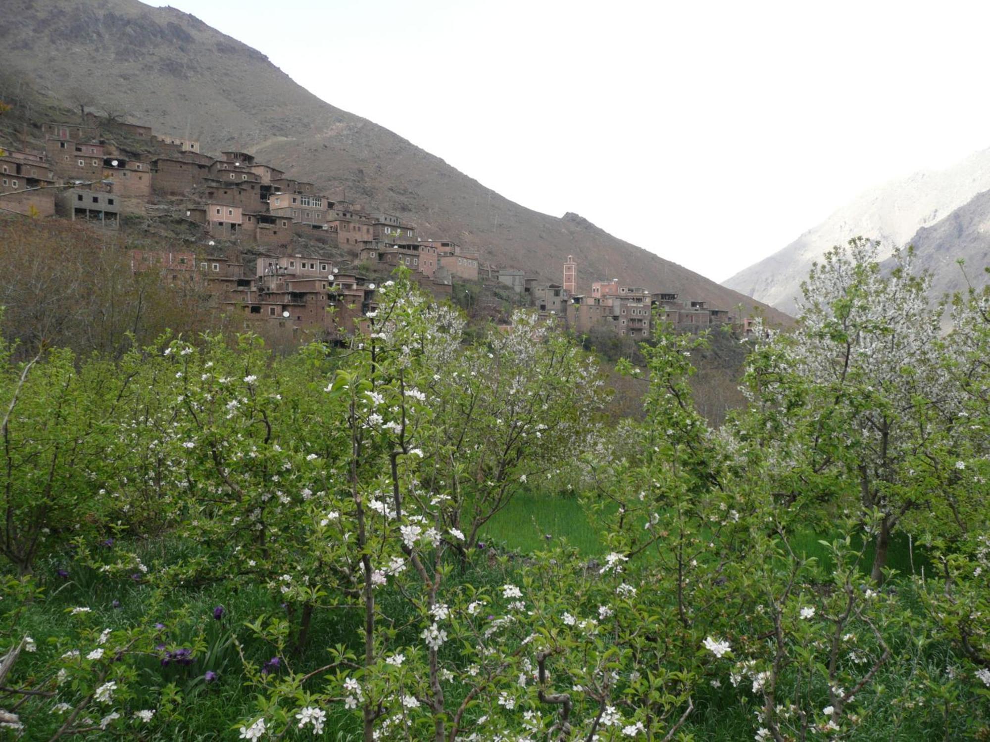 Gîte Atlas Mazik Imlil  Dış mekan fotoğraf