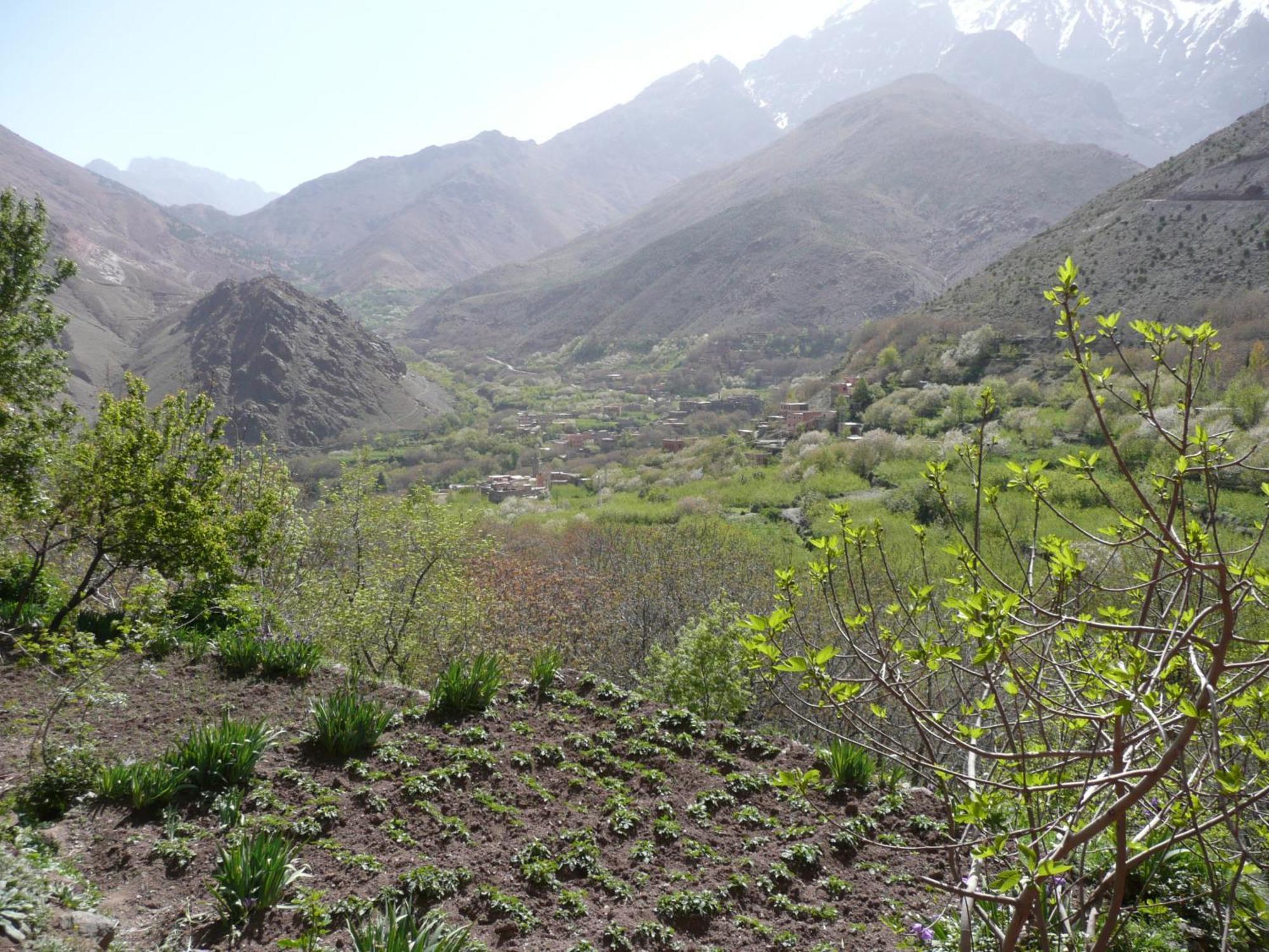 Gîte Atlas Mazik Imlil  Dış mekan fotoğraf
